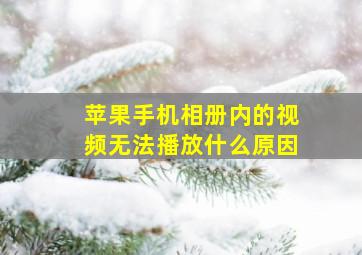 苹果手机相册内的视频无法播放什么原因