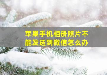 苹果手机相册照片不能发送到微信怎么办