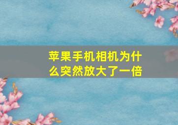 苹果手机相机为什么突然放大了一倍