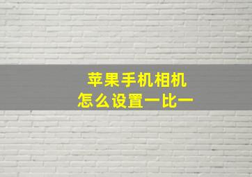 苹果手机相机怎么设置一比一