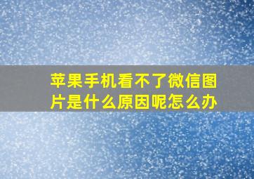 苹果手机看不了微信图片是什么原因呢怎么办