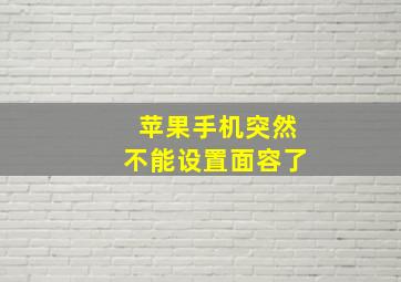 苹果手机突然不能设置面容了