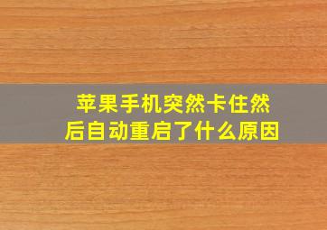 苹果手机突然卡住然后自动重启了什么原因