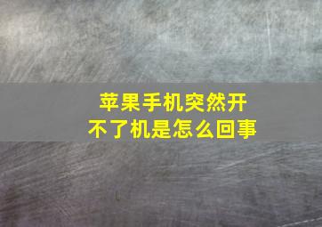 苹果手机突然开不了机是怎么回事