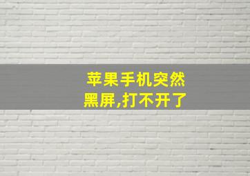 苹果手机突然黑屏,打不开了