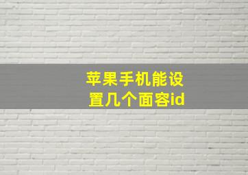 苹果手机能设置几个面容id