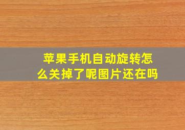 苹果手机自动旋转怎么关掉了呢图片还在吗