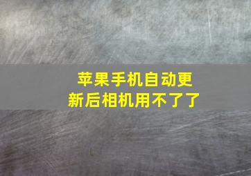 苹果手机自动更新后相机用不了了