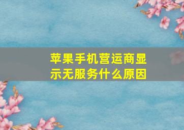 苹果手机营运商显示无服务什么原因