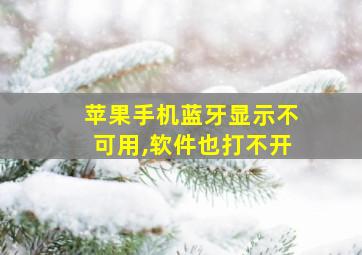 苹果手机蓝牙显示不可用,软件也打不开