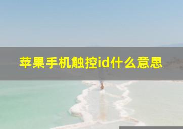 苹果手机触控id什么意思