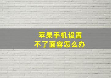 苹果手机设置不了面容怎么办