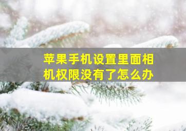 苹果手机设置里面相机权限没有了怎么办