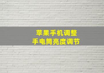 苹果手机调整手电筒亮度调节