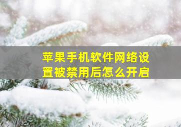 苹果手机软件网络设置被禁用后怎么开启