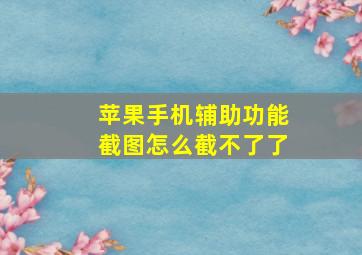 苹果手机辅助功能截图怎么截不了了