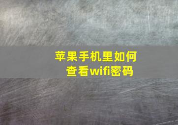 苹果手机里如何查看wifi密码