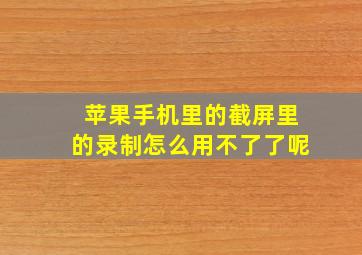 苹果手机里的截屏里的录制怎么用不了了呢