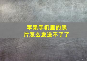 苹果手机里的照片怎么发送不了了