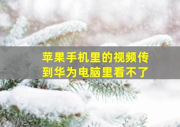 苹果手机里的视频传到华为电脑里看不了