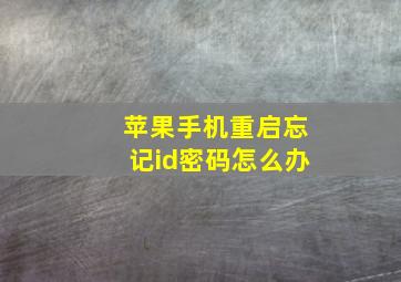 苹果手机重启忘记id密码怎么办