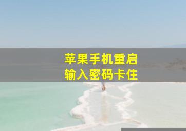 苹果手机重启输入密码卡住