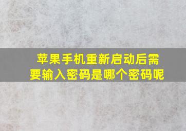 苹果手机重新启动后需要输入密码是哪个密码呢