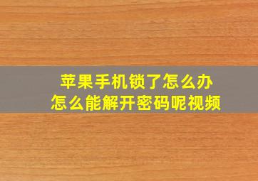 苹果手机锁了怎么办怎么能解开密码呢视频