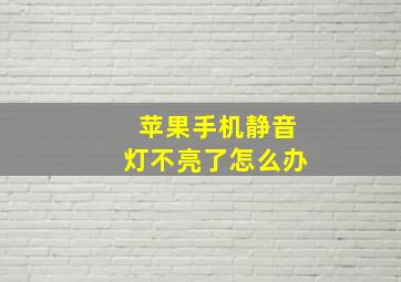 苹果手机静音灯不亮了怎么办