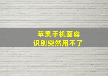 苹果手机面容识别突然用不了