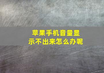 苹果手机音量显示不出来怎么办呢