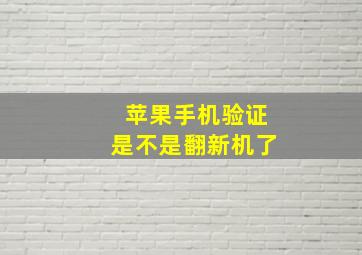 苹果手机验证是不是翻新机了