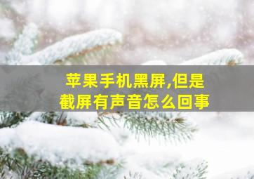 苹果手机黑屏,但是截屏有声音怎么回事