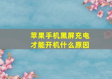 苹果手机黑屏充电才能开机什么原因