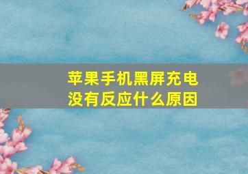 苹果手机黑屏充电没有反应什么原因