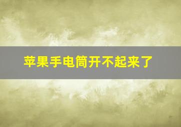 苹果手电筒开不起来了