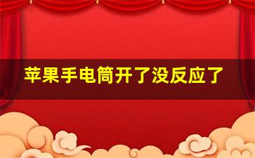 苹果手电筒开了没反应了