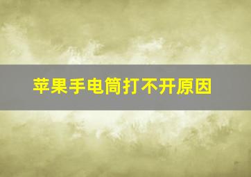 苹果手电筒打不开原因