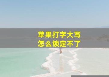 苹果打字大写怎么锁定不了