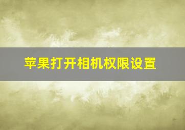 苹果打开相机权限设置