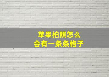 苹果拍照怎么会有一条条格子