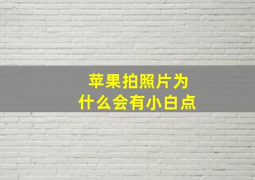 苹果拍照片为什么会有小白点