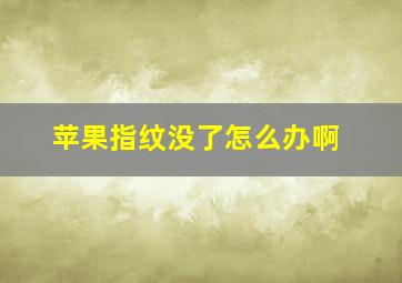 苹果指纹没了怎么办啊