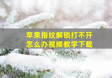 苹果指纹解锁打不开怎么办视频教学下载