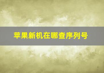 苹果新机在哪查序列号