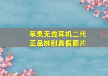 苹果无线耳机二代正品辨别真假图片