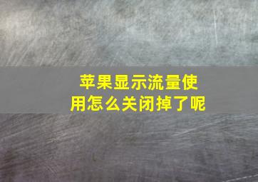 苹果显示流量使用怎么关闭掉了呢