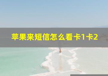 苹果来短信怎么看卡1卡2