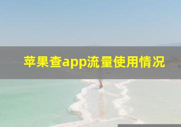 苹果查app流量使用情况