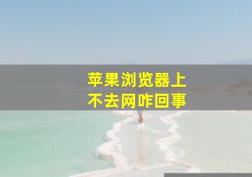 苹果浏览器上不去网咋回事